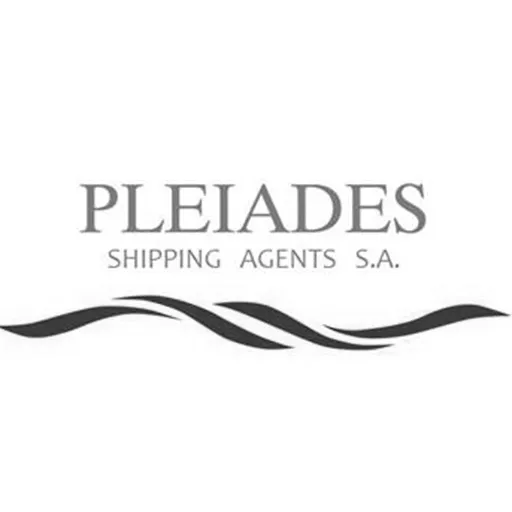 Pleiades company logo - Muunstone Group strategic partner